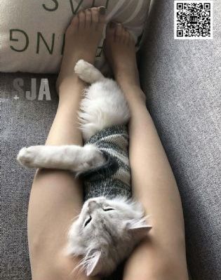 日韩美剧免费观看网站_DVD在线播放