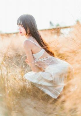 西行纪第六季免费观看完整版_清晰免费影视在线观看