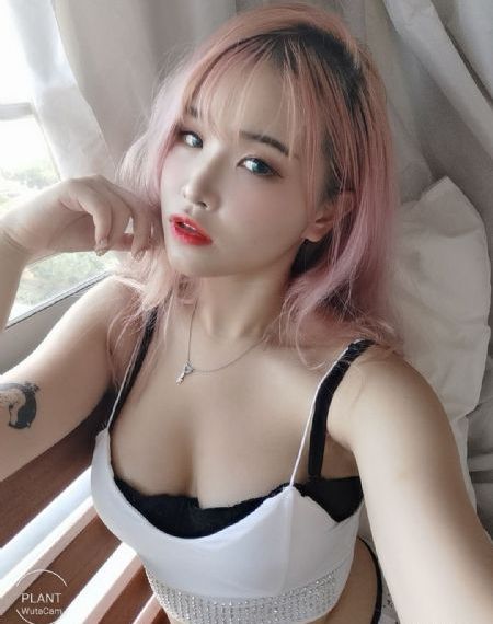 康熙王朝50集免费观看_高清完整版免费全集免费观看