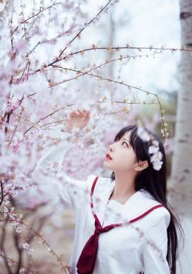 h版人猿泰山在线观看_影院在线观看